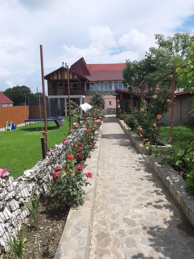 Casa Luca Sâmbăta de Sus Exterior foto